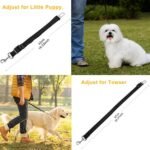 2-Pack: Multipurpose Pet Safety - Image 3