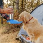 25oz Portable Dog Stainless Steel Water Dispenser Leak Proof Design - Image 15