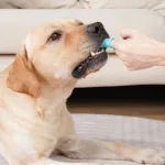 5-Pieces: Super Soft Pet Finger Toothbrush Teeth Cleaning Silicone Tooth Brush