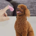 5-Pieces: Super Soft Pet Finger Toothbrush Teeth Cleaning Silicone Tooth Brush - Image 12
