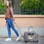 Airline Approved Rolling Pet Carrier with Telescopic Handle Shoulder Strap - Image 12