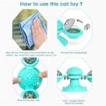 Cat Teases Interactive Pet Toy - Image 11