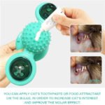 Cat Teases Interactive Pet Toy - Image 6