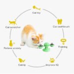 Cat Teases Interactive Pet Toy - Image 5