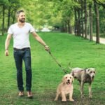 Double Dog Leash No-Tangle with Swivel Coupler Padded Handle - Image 16