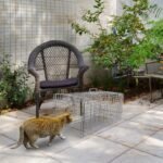Humane Catch Release Live Animal Collapsible Galvanized Wire Trap Cage - Image 4