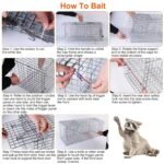 Humane Catch Release Live Animal Collapsible Galvanized Wire Trap Cage - Image 9