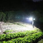 LED Flashlight Super Bright - Image 13