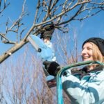 Portable Handheld Cordless Small Chain Saw Battery Powered with 2Pcs 2200mAh Rechargeable Batteries 4in/6in Chains for Pruning Trees Wood Cutting - Image 17