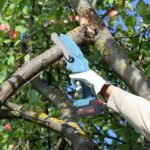 Portable Handheld Cordless Small Chain Saw Battery Powered with 2Pcs 2200mAh Rechargeable Batteries 4in/6in Chains for Pruning Trees Wood Cutting - Image 16