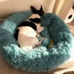 Soft Winter Warm Plush Calming Pet Bed - Image 9