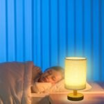 Warm White Nightstand Lamp USB Plug Modern Lantern - Image 12